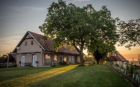 Winzarei, Weingut Tement Berghausen